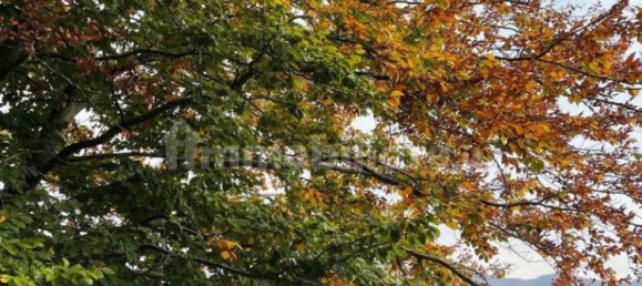 5 غرف نوم منزل في Fabbriche di Vergemoli, Italy رقم 325573 23