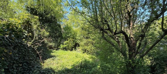 Grundstück in Penzing, Austria, Nr. 250933 4