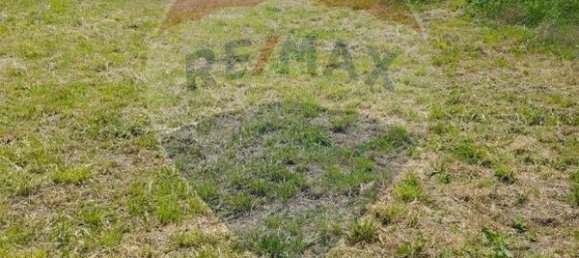 2 bedrooms House in Moimenta da Beira, Portugal No. 177373 6