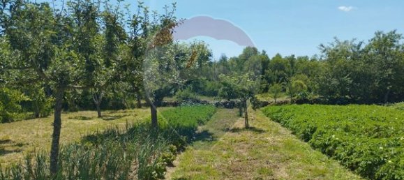 2 bedrooms House in Moimenta da Beira, Portugal No. 177373 8