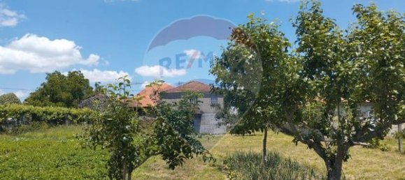 2 bedrooms House in Moimenta da Beira, Portugal No. 177373 3