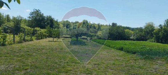 2 bedrooms House in Moimenta da Beira, Portugal No. 177373 11