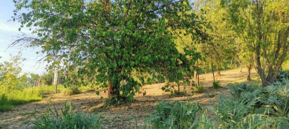 Terrain à Poggibonsi, Italy 3500m² No. 288671 11