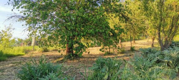 Terrain à Poggibonsi, Italy 3500m² No. 288671 10