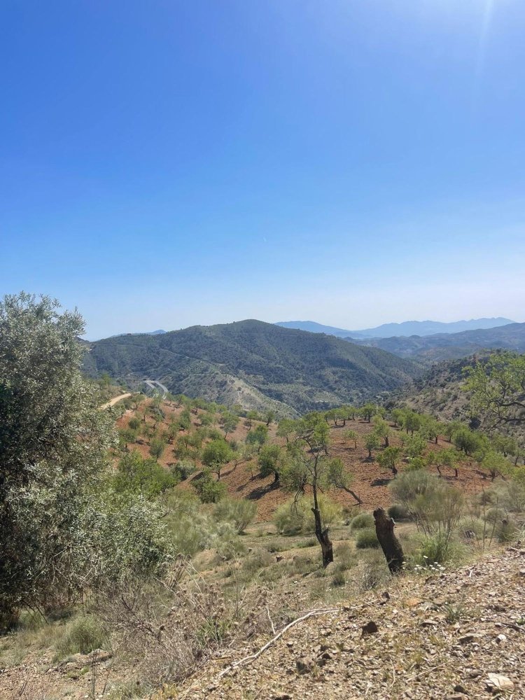 Terreno em Malaga, Spain N.º 158186