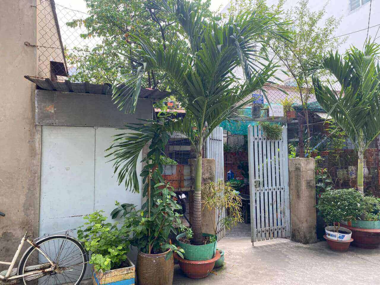 255m² House in District 7, Vietnam No. 7249