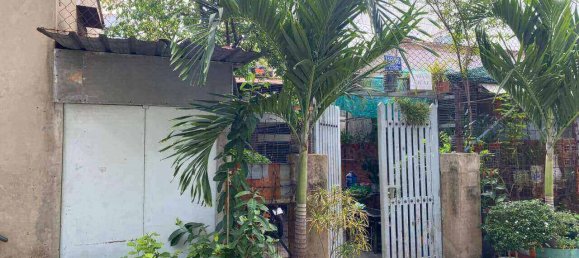 255m² House in District 7, Vietnam No. 7249 2