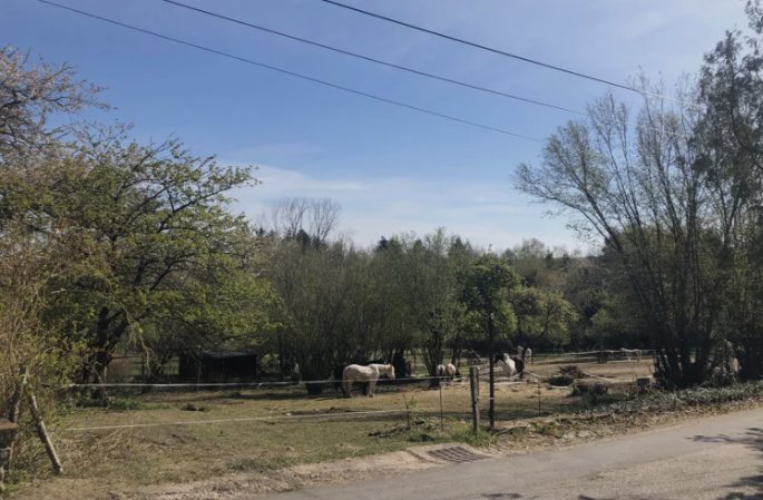  Land in Petitmont, France No. 47688