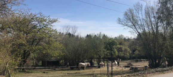  Land in Petitmont, France No. 47688 3