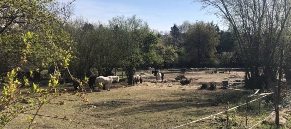  Land in Petitmont, France No. 47688 2