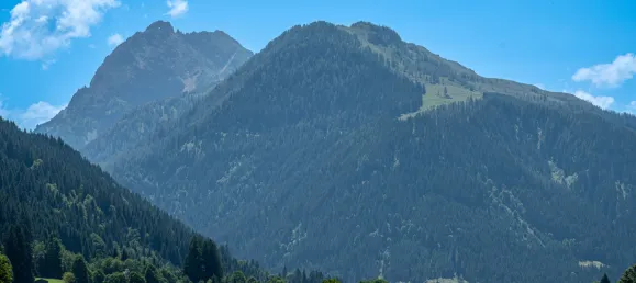 Land in Kirchberg in Tirol, Austria No. 164609 2