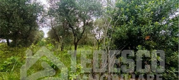 5 rooms House in Buonalbergo, Italy No. 294787 23