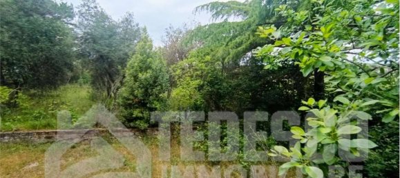 5 rooms House in Buonalbergo, Italy No. 294787 11