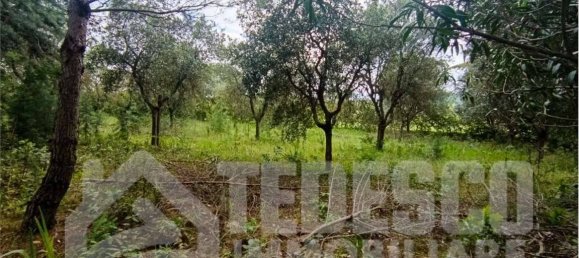 5 rooms House in Buonalbergo, Italy No. 294787 27