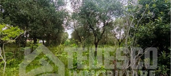 5 rooms House in Buonalbergo, Italy No. 294787 24