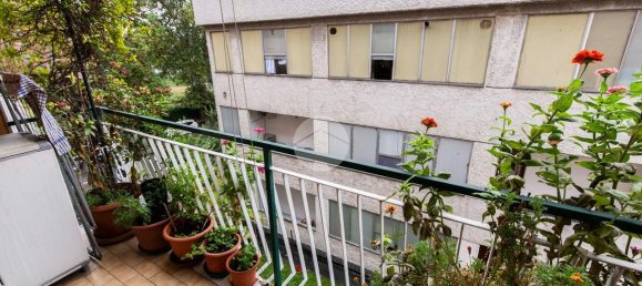 3 rooms Apartment in Cesano Boscone, Italy No. 163473 13