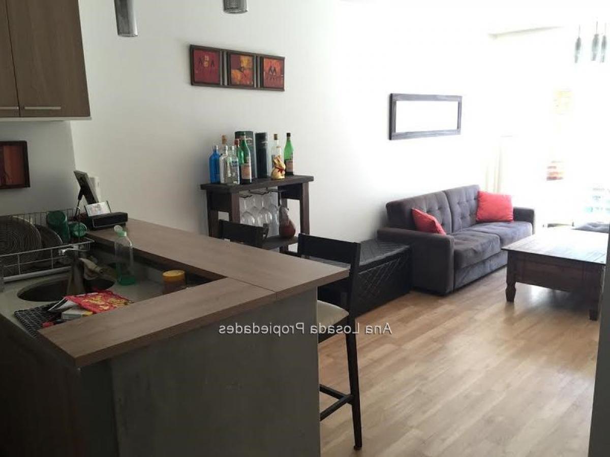 Studio in Montevideo, Uruguay No. 12230