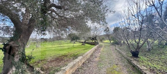 Casa de 8 habitaciónes en Ceglie Messapica, Italy No. 21810 14