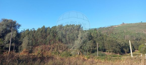 Casa de 5 dormitorios en Vila Verde, Portugal No. 168138 34