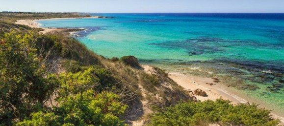 4 rooms House in Ostuni, Italy No. 139004 24