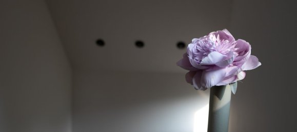 12 bedrooms Villa in Salsomaggiore Terme, Italy No. 371136 40