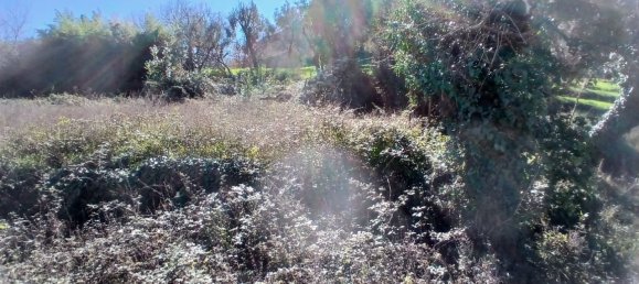 2400m² House in Kotor, Montenegro No. 409 2