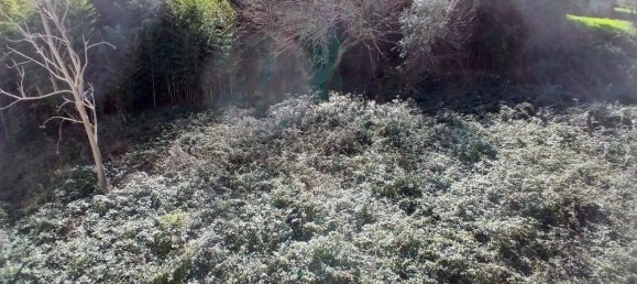 2400m² House in Kotor, Montenegro No. 409 5