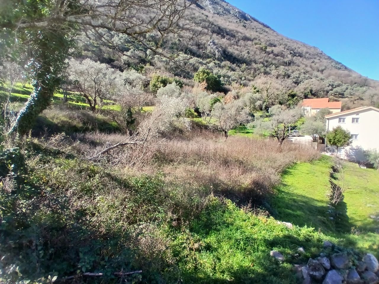 2400m² House in Kotor, Montenegro No. 409