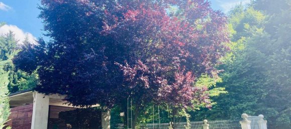 10 rooms Villa in Ehrenhausen an der Weinstrasse, Austria No. 40661 26