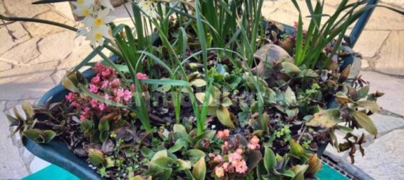 7 bedrooms Villa in Stella, Italy No. 286448 9