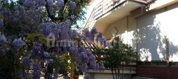 6 Schlafzimmer Villa in Rosignano Marittimo, Italy, Nr. 262371 3