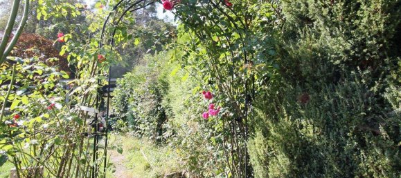 11غرفة تاون هاوس في Amberg-Sulzbach, Germany رقم 259801 16