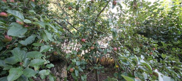 11غرفة تاون هاوس في Amberg-Sulzbach, Germany رقم 259801 15