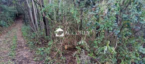 18591m² Land in Volpago del Montello, Italy No. 145173 2