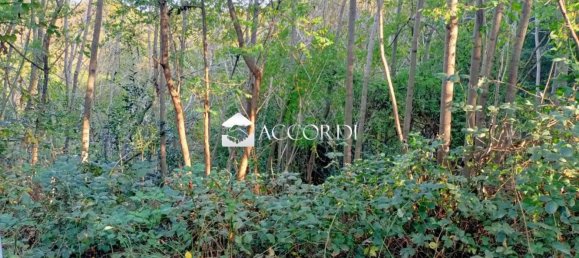 18591m² Land in Volpago del Montello, Italy No. 145173 3