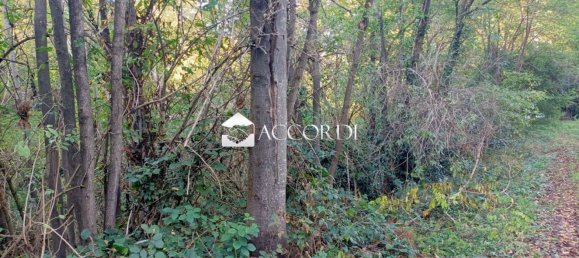 18591m² Land in Volpago del Montello, Italy No. 145173 5