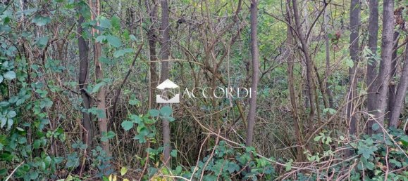 18591m² Land in Volpago del Montello, Italy No. 145173 4