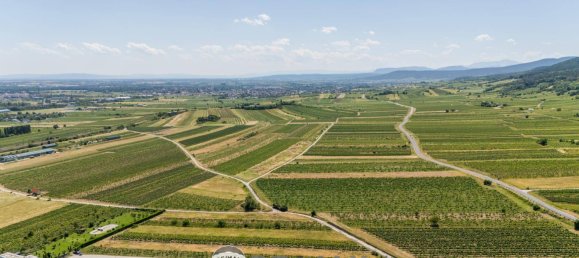 Дом с 6 комнатами в Гумпольдскирхен, Австрия № 136602 30