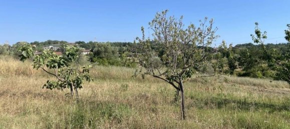 Villa de 4 habitaciónes en Paternopoli, Italy No. 71652 15