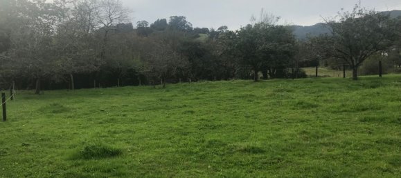 Terreno en Asturias, Spain No. 191193 7
