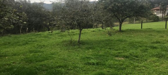 Terreno en Asturias, Spain No. 191193 6