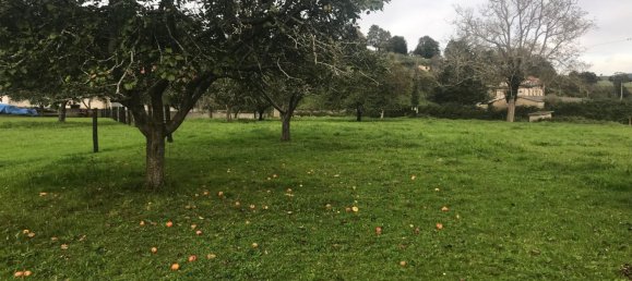 Terreno en Asturias, Spain No. 191193 13