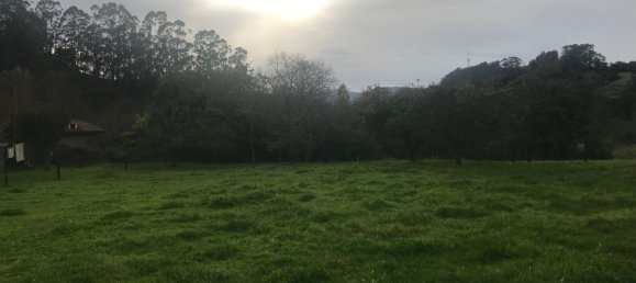 Terreno en Asturias, Spain No. 191193 3