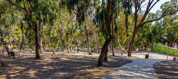 3 bedrooms Apartment in Guardamar del Segura, Spain No. 16686 15