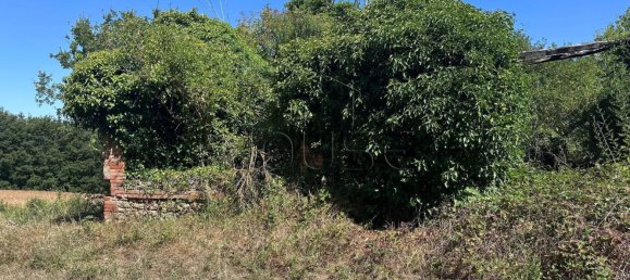 6 bedrooms House in Monte Santa Maria Tiberina, Italy No. 349539 10