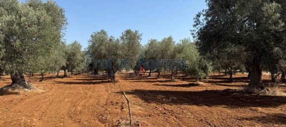 3 rooms House in Ostuni, Italy No. 263824 23