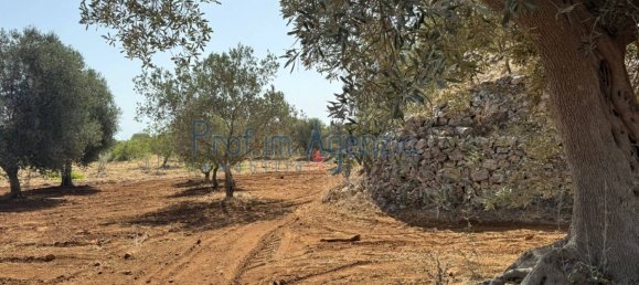 3 rooms House in Ostuni, Italy No. 263824 17