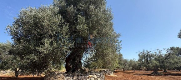 3 rooms House in Ostuni, Italy No. 263824 8