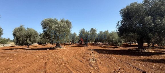 3 rooms House in Ostuni, Italy No. 263824 22