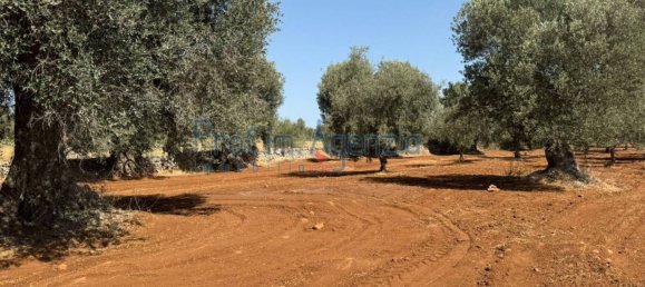 3 rooms House in Ostuni, Italy No. 263824 20